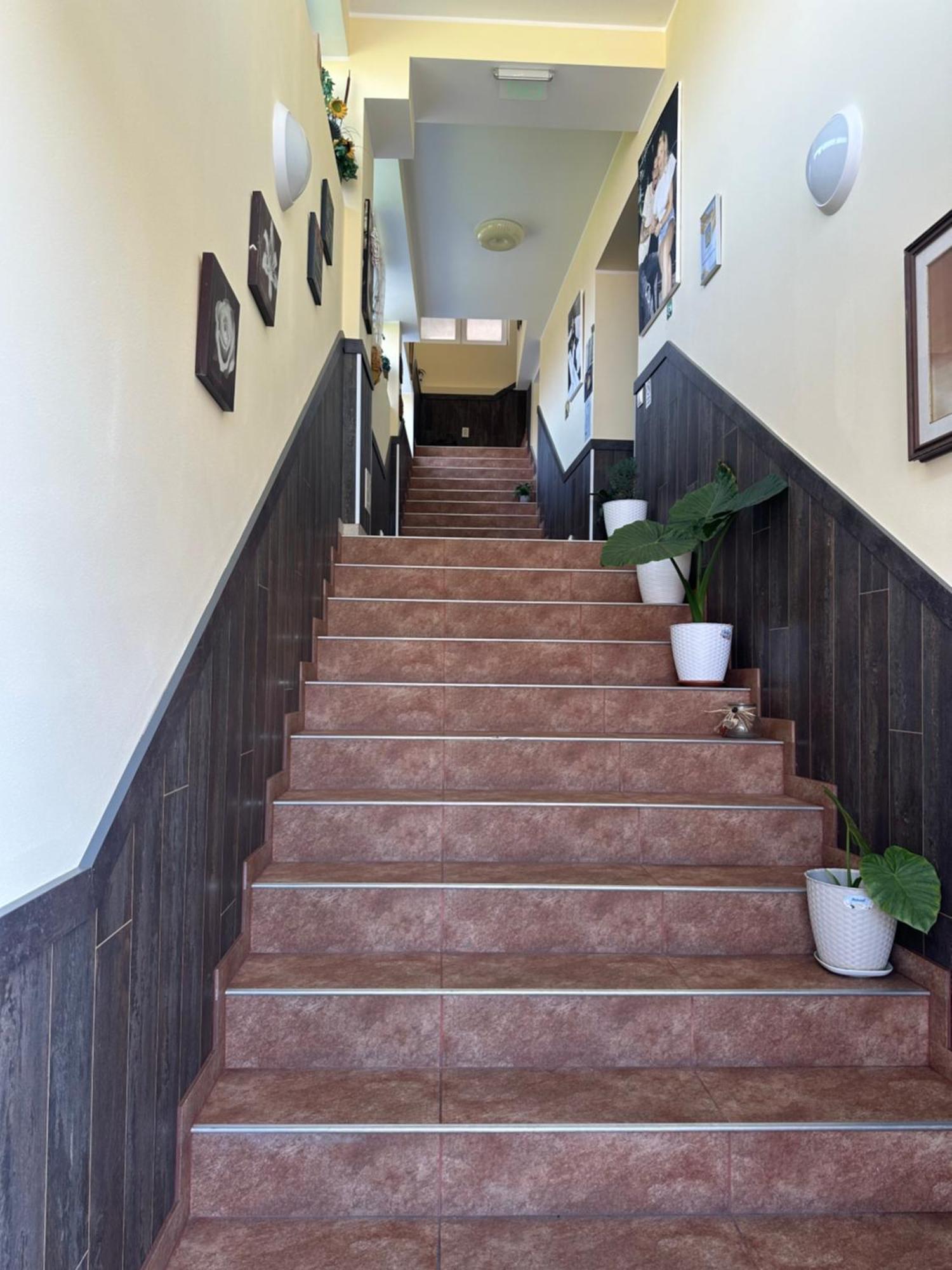 Casa Clau Hotel Orşova Екстериор снимка